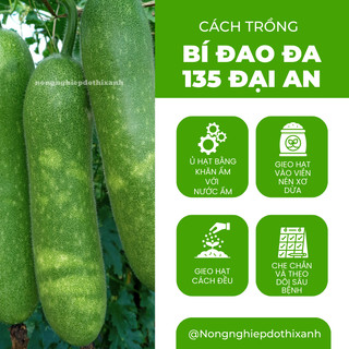 Hạt Giống Bí Đao ĐA 135 Đại An - Túi 0.4gram, Hạt Giống Nảy Mầm Tốt, Năng Suất Cao, Trông Quanh Năm
