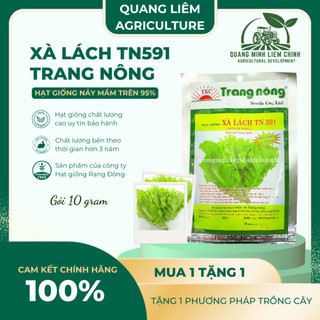 Xà Lách TN591 Trang Nông (10gr/100gram), hạt giống nảy mầm tốt, năng suất cao, trông quanh năm