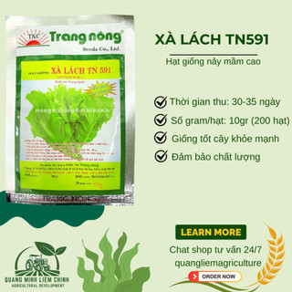 Xà Lách TN591 Trang Nông (10gr/100gram), hạt giống nảy mầm tốt, năng suất cao, trông quanh năm
