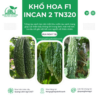 Khổ Hoa F1 Incan 2 TN320 Trang Nông (10 hạt), hạt giống nảy mầm tốt, năng suất cao, trông quanh năm