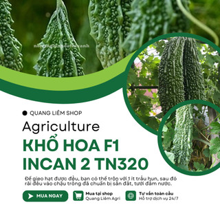 Khổ Hoa F1 Incan 2 TN320 Trang Nông (10 hạt), hạt giống nảy mầm tốt, năng suất cao, trông quanh năm