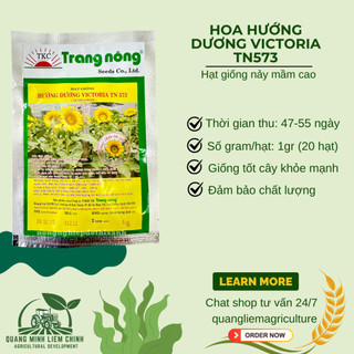 Hoa Hướng Dương Victoria TN573 - LÙN Trang Nông (1gram), hạt giống nảy mầm tốt, năng suất cao