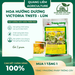 Hoa Hướng Dương Victoria TN573 - LÙN Trang Nông (1gram), hạt giống nảy mầm tốt, năng suất cao