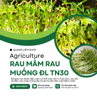 Rau Mầm Rau Muống ĐL TN30 Trang Nông (1KG), hạt giống nảy mầm tốt, năng suất cao, trông quanh năm