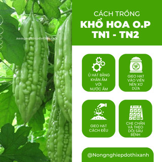 Khổ Hoa O.P TN1 - TN2 Trang Nông (10gram), hạt giống nảy mầm tốt, năng suất cao, trông quanh năm