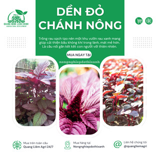 Hạt Giống Rau Dền Đỏ Chánh Nông (50gram), Hạt Giống Nảy Mầm Tốt, Năng Suất Cao, Trông Quanh Năm