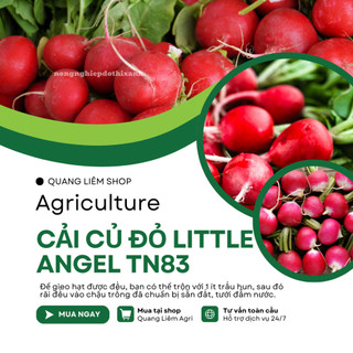 Cải Củ Đỏ Little Angel TN83 Trang Nông (5gram), hạt giống nảy mầm tốt, năng suất cao trông quanh năm