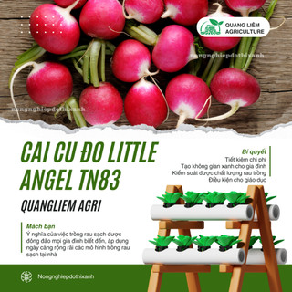 Cải Củ Đỏ Little Angel TN83 Trang Nông (5gram), hạt giống nảy mầm tốt, năng suất cao trông quanh năm