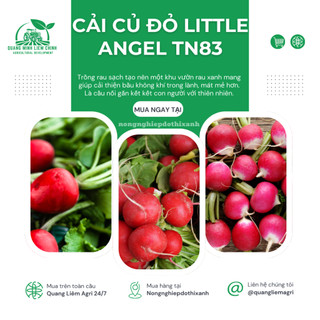 Cải Củ Đỏ Little Angel TN83 Trang Nông (5gram), hạt giống nảy mầm tốt, năng suất cao trông quanh năm