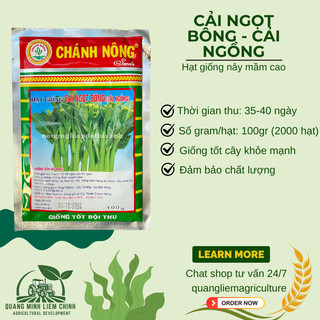 Cải Ngọt Bông - Cải Ngồng  Gói 100gram Chánh Nông, Hạt Giống Nảy Mầm Tốt, Năng Suất Cao