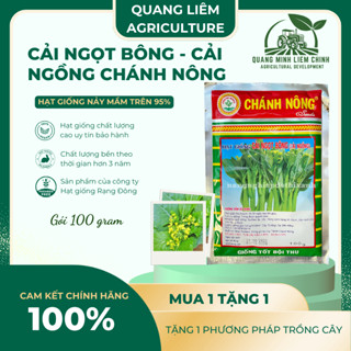 Cải Ngọt Bông - Cải Ngồng  Gói 100gram Chánh Nông, Hạt Giống Nảy Mầm Tốt, Năng Suất Cao