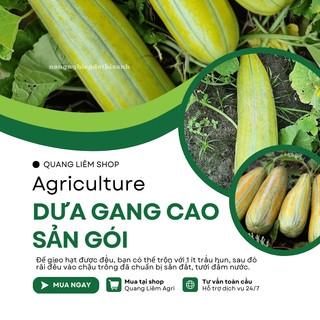 Dưa Gang Cao Sản Gói 5gram Chánh Nông, Hạt Giống Nảy Mầm Tốt, Năng Suất Cao, Trông Quanh Năm