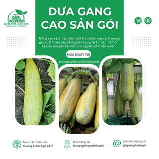 Dưa Gang Cao Sản Gói 5gram Chánh Nông, Hạt Giống Nảy Mầm Tốt, Năng Suất Cao, Trông Quanh Năm