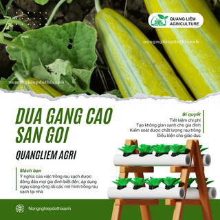 Dưa Gang Cao Sản Gói 5gram Chánh Nông, Hạt Giống Nảy Mầm Tốt, Năng Suất Cao, Trông Quanh Năm