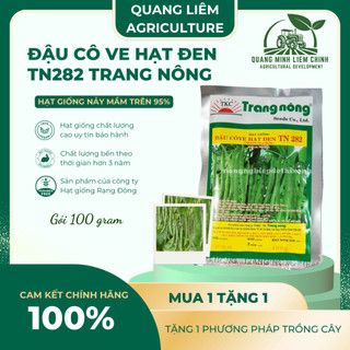 Đậu Cô Ve Hạt Đen TN282 Trang Nông (20gr/100gr),hạt giống nảy mầm tốt, năng suất cao trông quanh năm