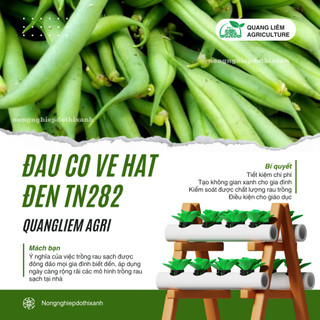 Đậu Cô Ve Hạt Đen TN282 Trang Nông (20gr/100gr),hạt giống nảy mầm tốt, năng suất cao trông quanh năm