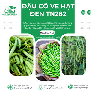 Đậu Cô Ve Hạt Đen TN282 Trang Nông (20gr/100gr),hạt giống nảy mầm tốt, năng suất cao trông quanh năm