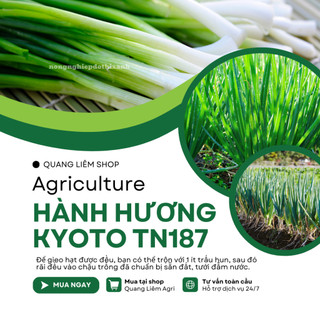 Hành Hương Kyoto TN187 Trang Nông (2gr/10gr), hạt giống nảy mầm tốt, năng suất cao, trông quanh năm