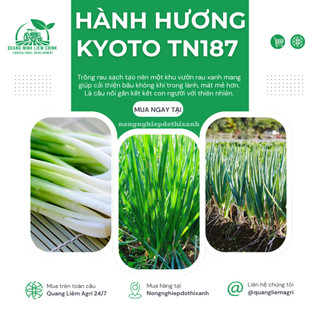 Hành Hương Kyoto TN187 Trang Nông (2gr/10gr), hạt giống nảy mầm tốt, năng suất cao, trông quanh năm