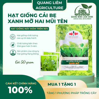 Hạt Giống Cải Bẹ Xanh Mỡ Gói 50gram/100gram - Hai Mũi Tên, Hạt Giống Nảy Mầm Tốt, Năng Suất Cao