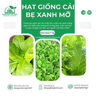 Hạt Giống Cải Bẹ Xanh Mỡ Gói 50gram/100gram - Hai Mũi Tên, Hạt Giống Nảy Mầm Tốt, Năng Suất Cao