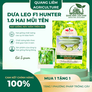 Dưa Leo F1 Hunter 1.0  Hai Mũi Tên (20 hạt/10gram), Hạt Giống Nảy Mầm Tốt, Năng Suất Cao