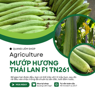 Mướp Hương Thái Lan F1 TN261 Trang Nông (1gr/10gr), hạt giống nảy mầm tốt, năng suất cao