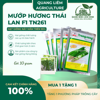 Mướp Hương Thái Lan F1 TN261 Trang Nông (1gr/10gr), hạt giống nảy mầm tốt, năng suất cao