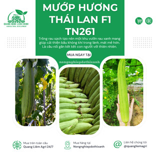 Mướp Hương Thái Lan F1 TN261 Trang Nông (1gr/10gr), hạt giống nảy mầm tốt, năng suất cao