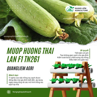 Mướp Hương Thái Lan F1 TN261 Trang Nông (1gr/10gr), hạt giống nảy mầm tốt, năng suất cao