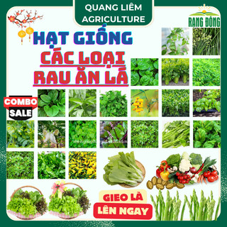 Hạt Giống Rau Ăn Lá RADO Sinh Trưởng Tốt, Trồng Quanh Năm - Hạt Giống Rau Củ Quả Rạng Đông