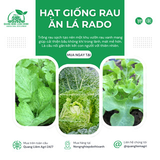 Hạt Giống Rau Ăn Lá RADO Sinh Trưởng Tốt, Trồng Quanh Năm - Hạt Giống Rau Củ Quả Rạng Đông