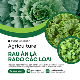 Hạt Giống Rau Ăn Lá RADO Sinh Trưởng Tốt, Trồng Quanh Năm - Hạt Giống Rau Củ Quả Rạng Đông