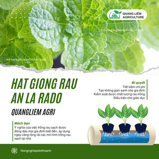 Hạt Giống Rau Ăn Lá RADO Sinh Trưởng Tốt, Trồng Quanh Năm - Hạt Giống Rau Củ Quả Rạng Đông
