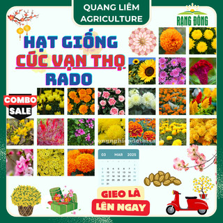Hạt Giống Hoa Cúc - Vạn Thọ RADO - Rạng Đông, Thời điểm gieo trồng hoa Tết 2025 trổ hoa đúng ngày