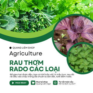 Hạt Giống Rau Thơm RADO Dễ Trồng Và Chăm Sóc, Mọc Quanh Năm - Hạt giống Rau Củ Quả Rạng Đông