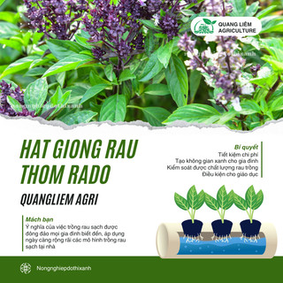 Hạt Giống Rau Thơm RADO Dễ Trồng Và Chăm Sóc, Mọc Quanh Năm - Hạt giống Rau Củ Quả Rạng Đông