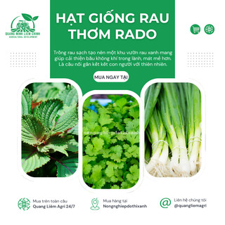 Hạt Giống Rau Thơm RADO Dễ Trồng Và Chăm Sóc, Mọc Quanh Năm - Hạt giống Rau Củ Quả Rạng Đông