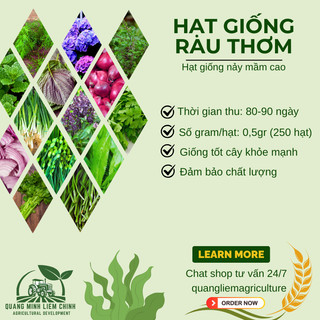 Hạt Giống Rau Thơm RADO Dễ Trồng Và Chăm Sóc, Mọc Quanh Năm - Hạt giống Rau Củ Quả Rạng Đông