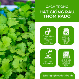 Hạt Giống Rau Thơm RADO Dễ Trồng Và Chăm Sóc, Mọc Quanh Năm - Hạt giống Rau Củ Quả Rạng Đông