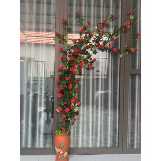 Dây hồng bạch trà gai leo cao cấp bền đẹp- Hoa lụa decor