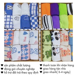 Combo Tất Hộp 8 Đôi Nhiều Màu Phong Cách Vintage Quà Tặng Bạn Gái Bạn Thân Timo T72