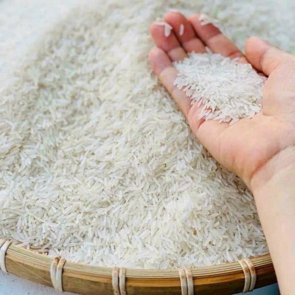 Túi 5kg - GẠO NÀNG THƠM chính gốc Chợ Đào - Dẻo vừa, mềm , thơm nhẹ