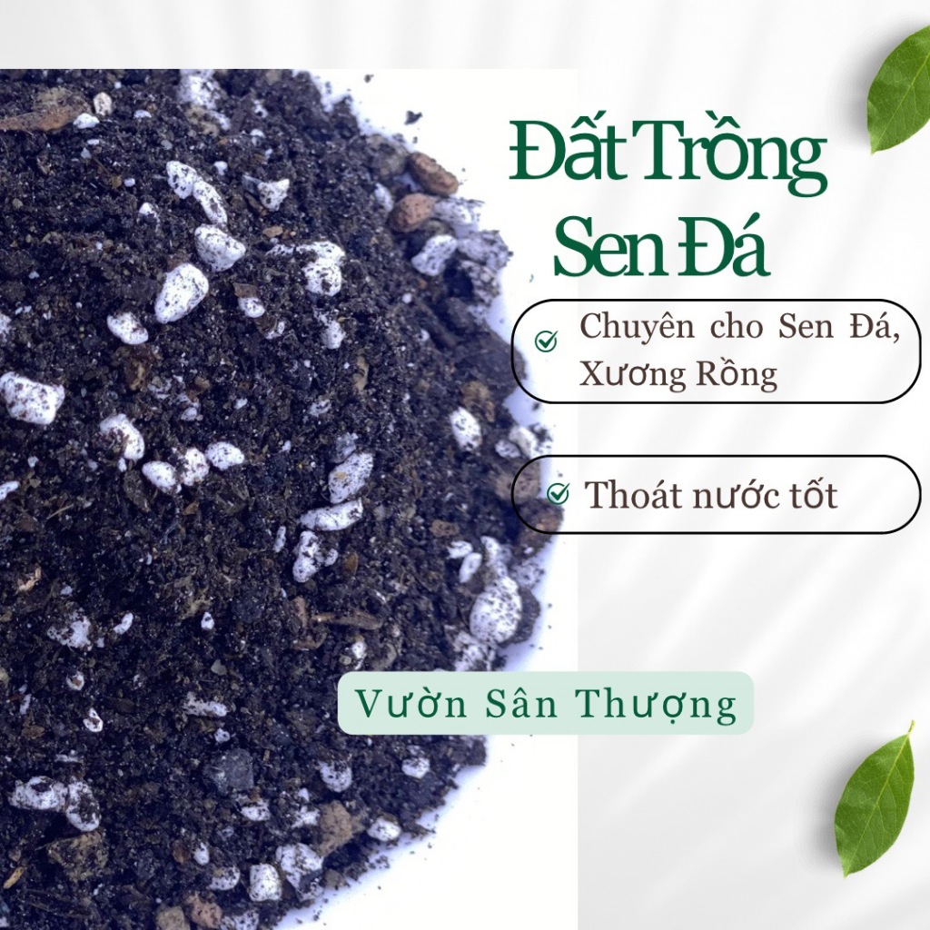 Đất Trồng Sen Đá, Xương Rông Nguyên Liệu Cao Cấp Tự Trộn Gói 200g