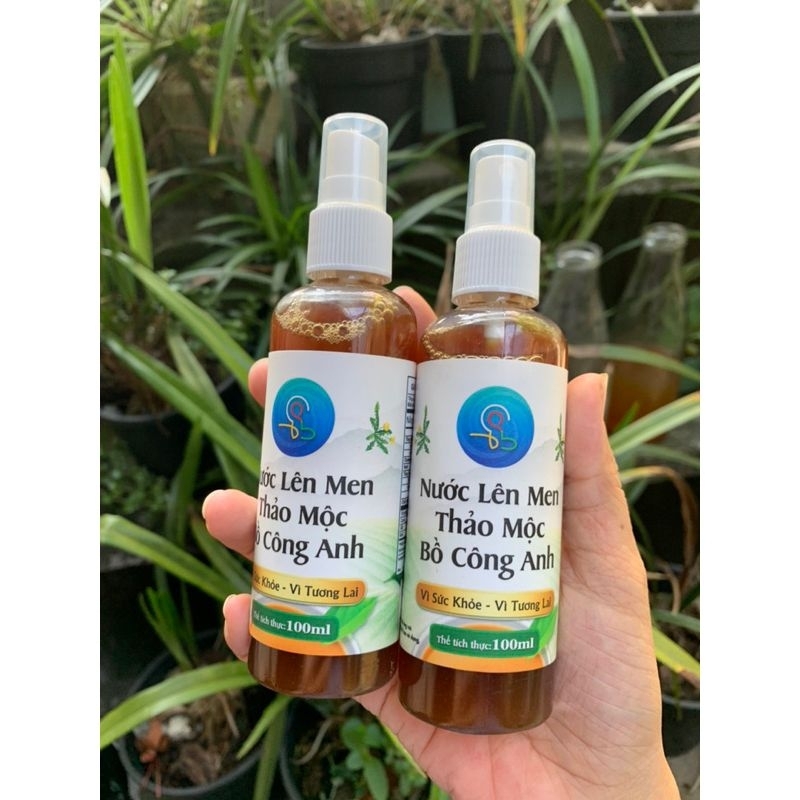 Nước lên men thảo mộc Bồ Công Anh - Vạn Đại