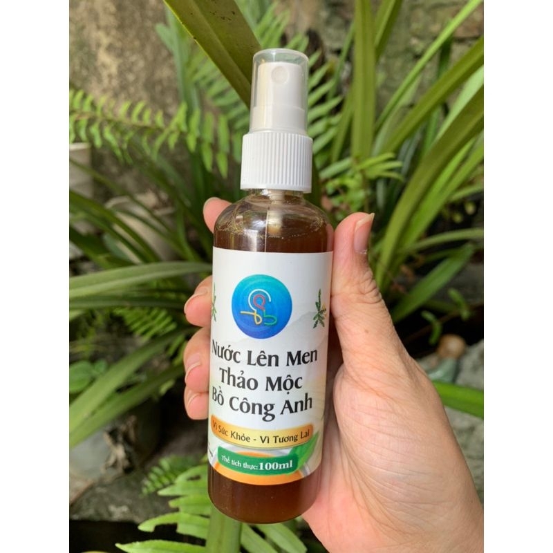 Nước lên men thảo mộc Bồ Công Anh - Vạn Đại