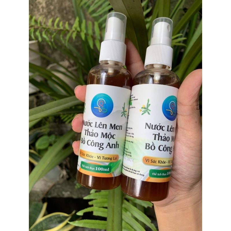 Nước lên men thảo mộc Bồ Công Anh - Vạn Đại