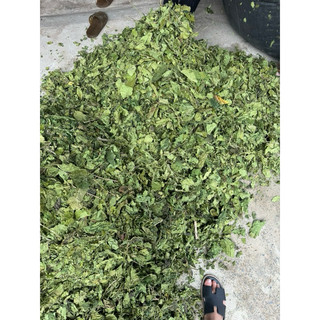 Lá Dâu Tằm Khô 1kg Nguyên Chất | Dược Liệu Khô Chọn Lọc | Thảo Dược Đạt Huyền