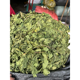 Lá Dâu Tằm Khô 1kg Nguyên Chất | Dược Liệu Khô Chọn Lọc | Thảo Dược Đạt Huyền