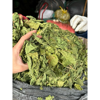 Lá Dâu Tằm Khô 1kg Nguyên Chất | Dược Liệu Khô Chọn Lọc | Thảo Dược Đạt Huyền